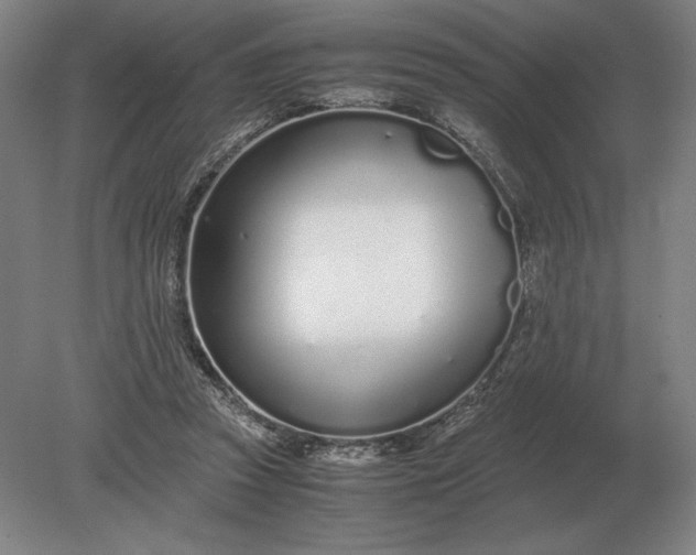 X0000079300353200612011755