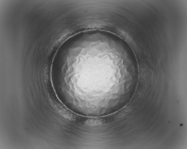 X0000079300354200612011755