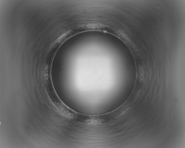 X0000079300356200612011755