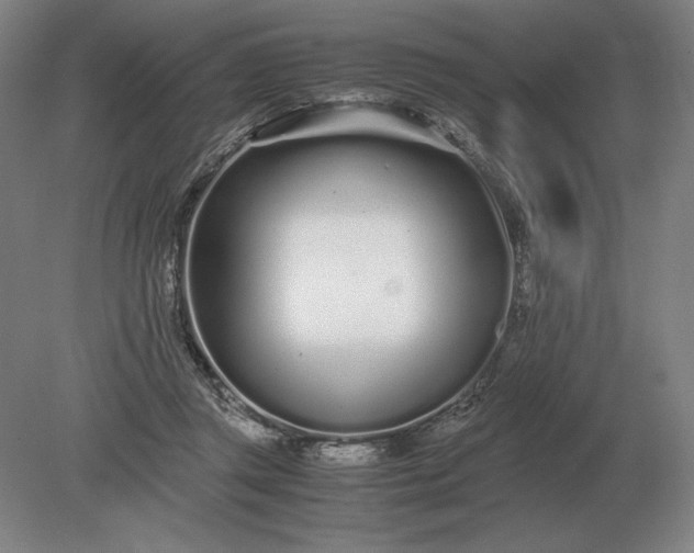 X0000079300357200612011755