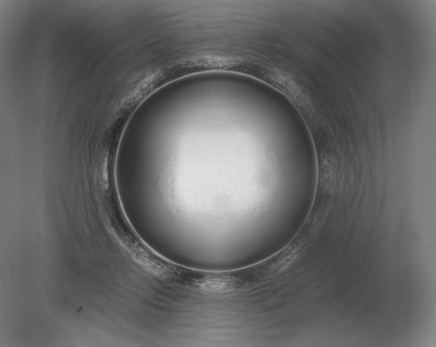 X0000079300358200612011755