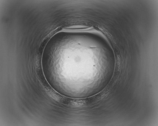 X0000079300359200612011756
