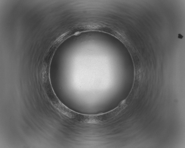X0000079300360200612011756