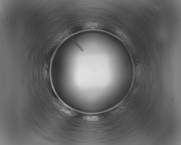 X0000079300361200612011756