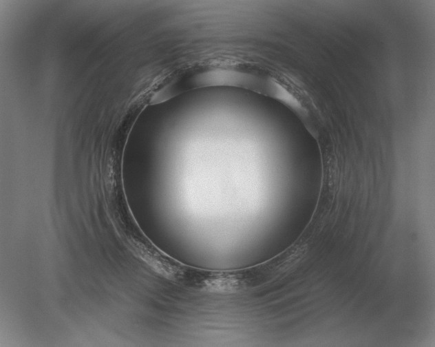 X0000079300362200612011756