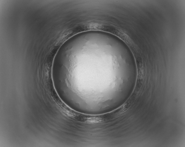 X0000079300363200612011756
