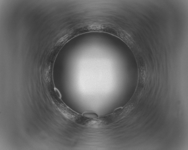 X0000079300364200612011756