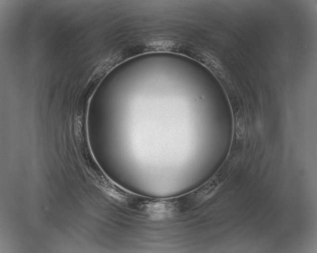 X0000079300365200612011756
