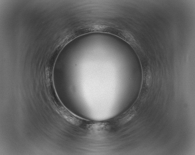X0000079300366200612011756