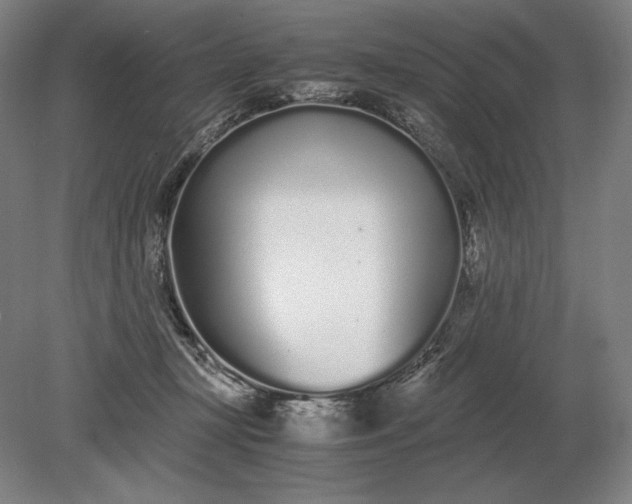 X0000079300367200612011756
