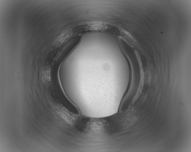 X0000079300368200612011756