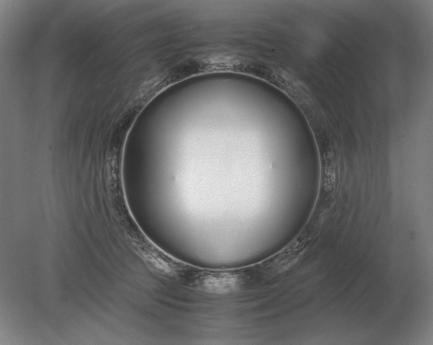 X0000079300369200612011756