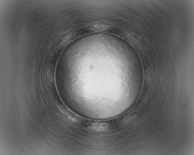 X0000079300371200612011756