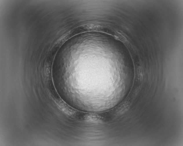 X0000079300372200612011756