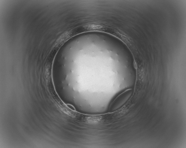 X0000079300373200612011756