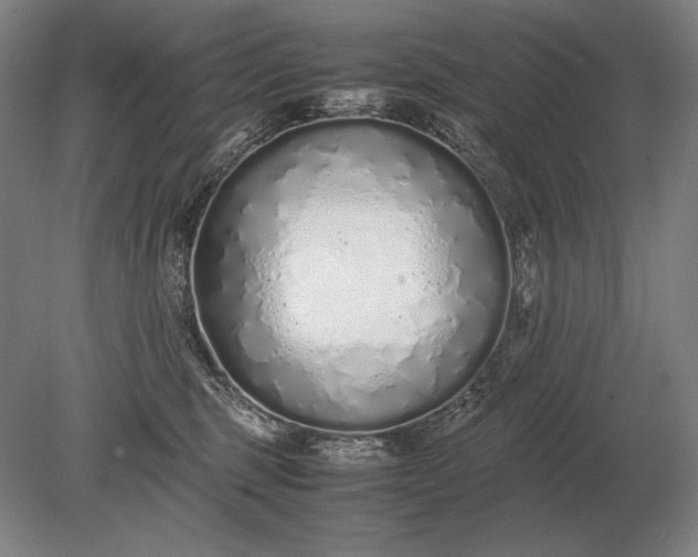 X0000079300375200612011756