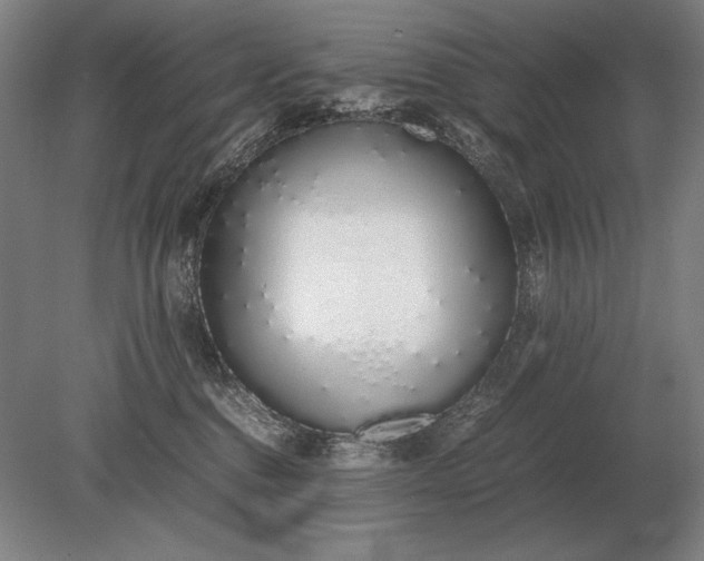 X0000079300376200612011756