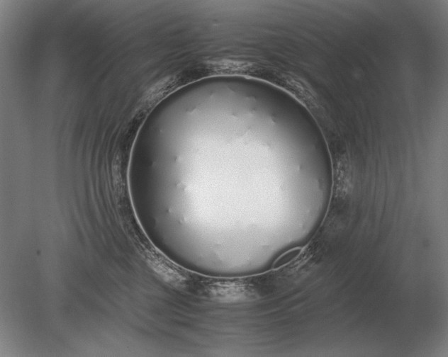 X0000079300377200612011756