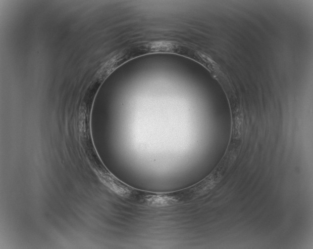 X0000079300379200612011756