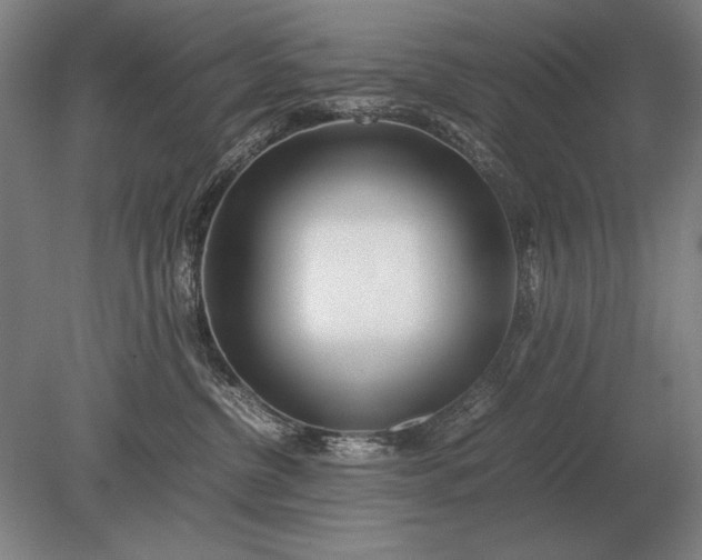 X0000079300380200612011756