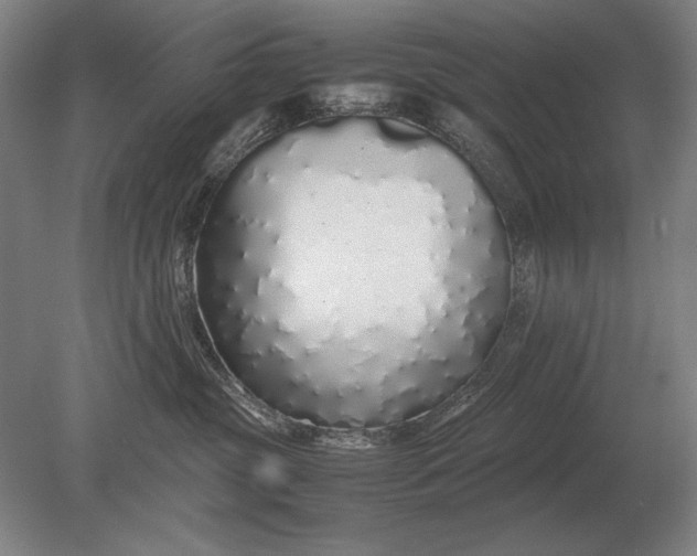 X0000079300381200612011756