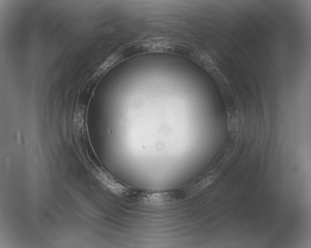 X0000079300382200612011756