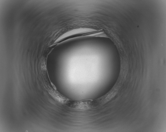X0000079300384200612011756