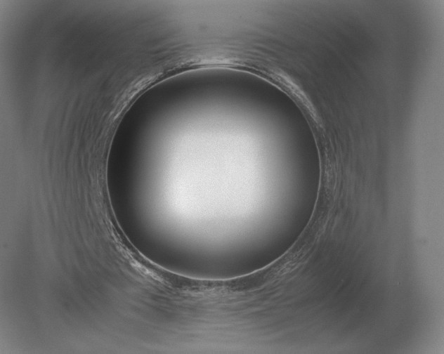 X0000079300385200612011755