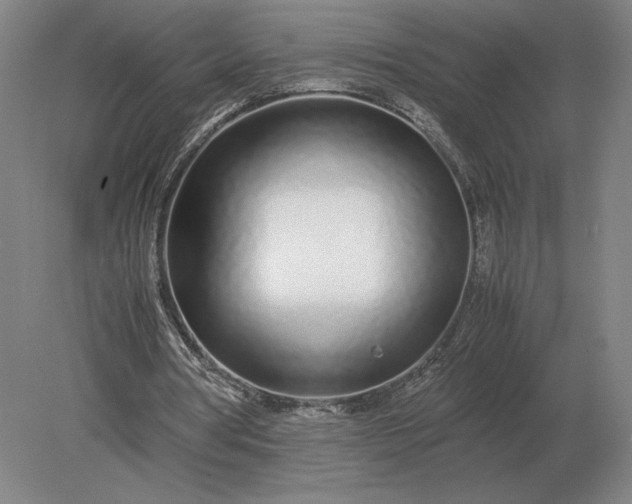 X0000079300386200612011755
