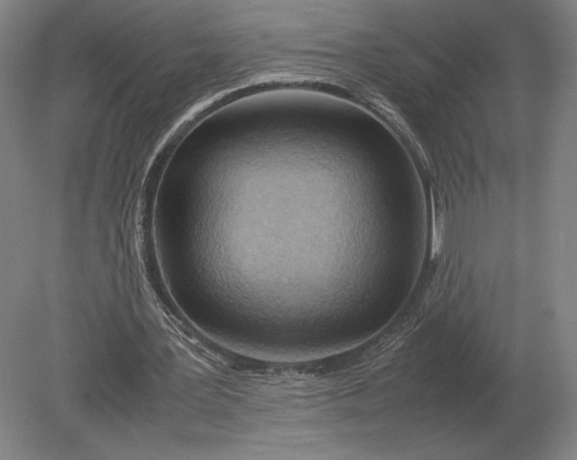 X0000079300387200612011755