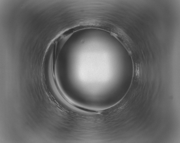 X0000079300388200612011755