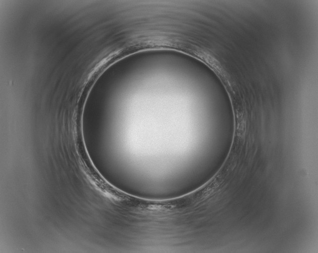 X0000079300390200612011755