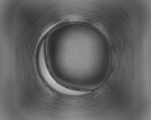 X0000079300391200612011755