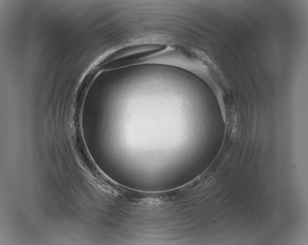 X0000079300392200612011755