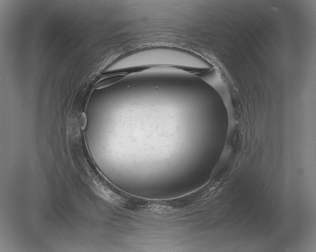 X0000079300393200612011755