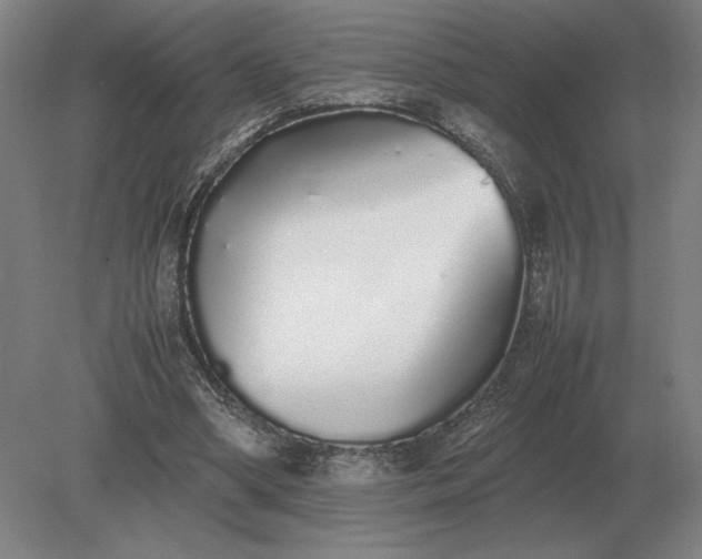 X0000079300394200612011755