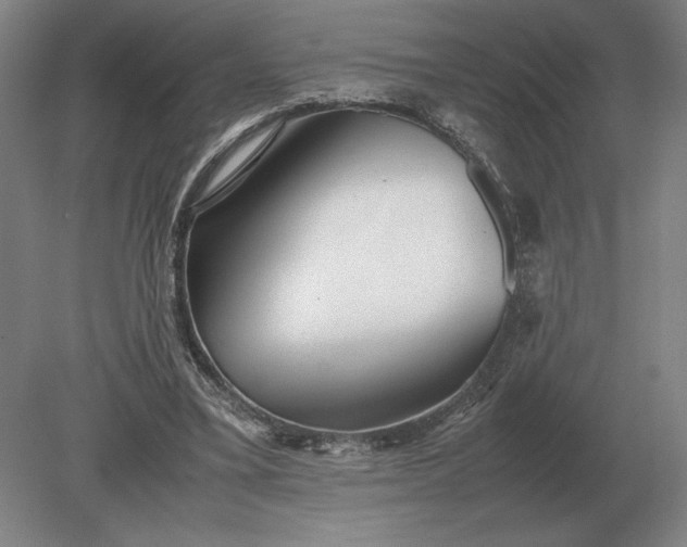X0000079300395200612011755
