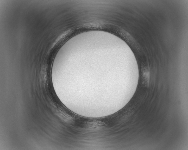 X0000079300396200612011755