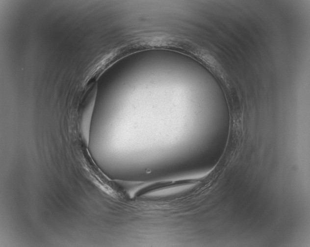 X0000079300397200612011755