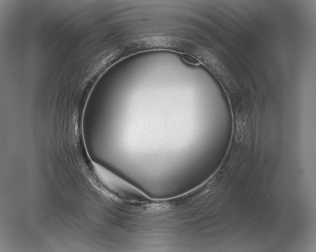 X0000079300398200612011755