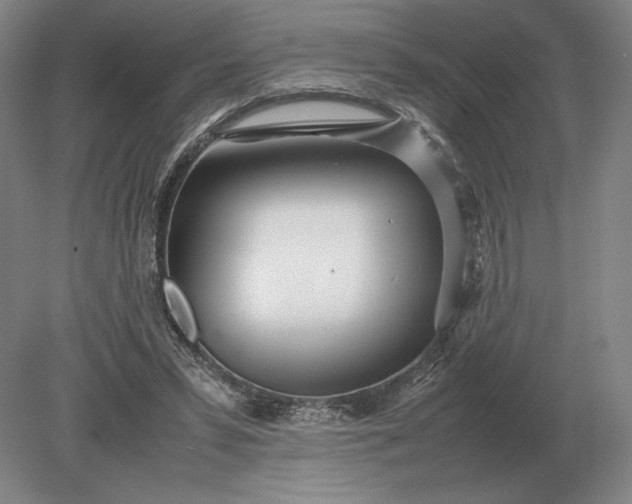X0000079300399200612011755