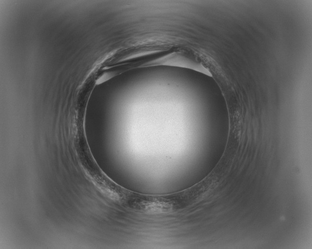 X0000079300400200612011755