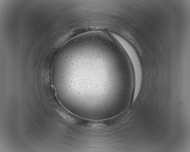X0000079300401200612011755