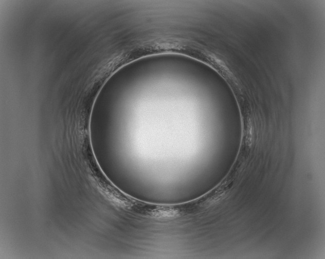 X0000079300402200612011755