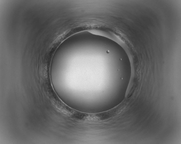 X0000079300403200612011755