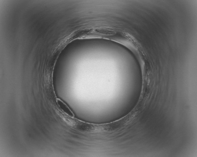 X0000079300405200612011755