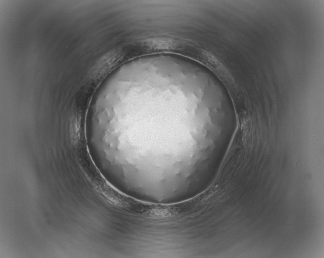 X0000079300406200612011755