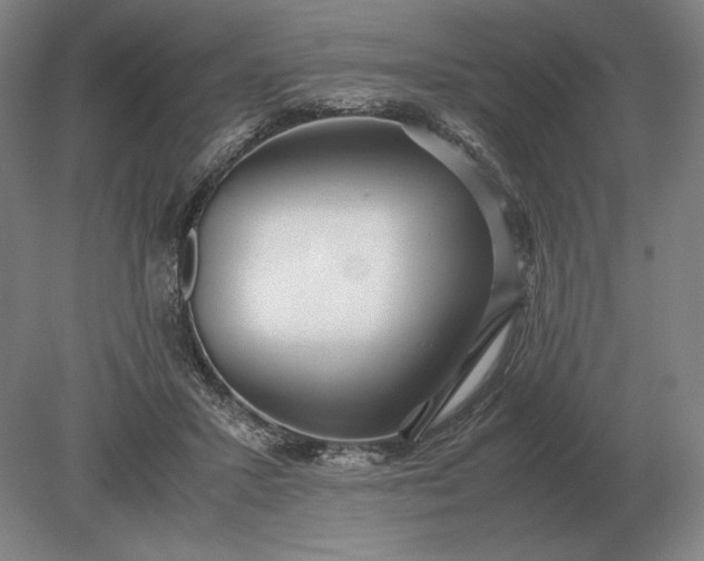 X0000079300407200612011755