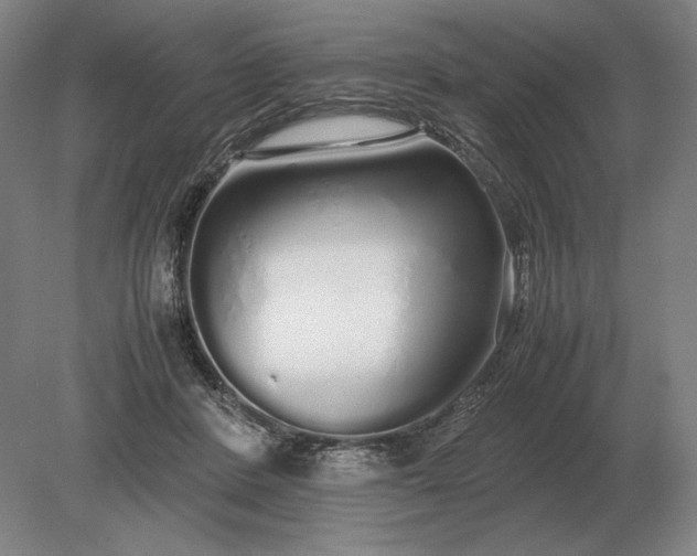 X0000079300408200612011755