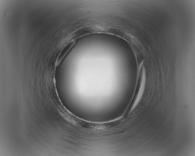 X0000079300409200612011755